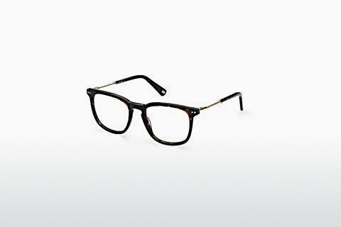 Glasögon Web Eyewear WE5349 052