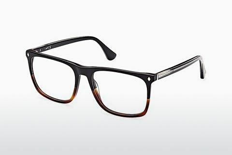 Glasögon Web Eyewear WE5389 056