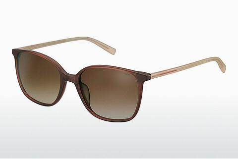 Solglasögon Esprit ET40052 535