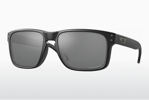 Solglasögon Oakley HOLBROOK (OO9102 9102D6)