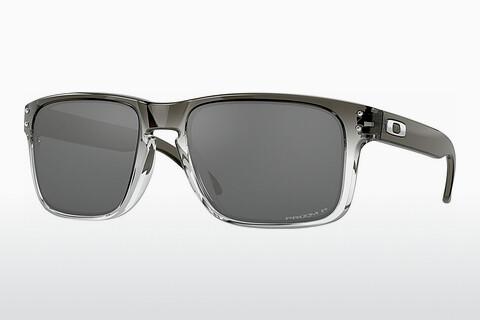 Solglasögon Oakley HOLBROOK (OO9102 9102O2)