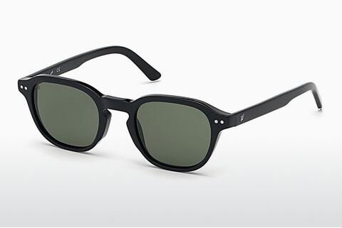 Solglasögon Web Eyewear WE0250 01N
