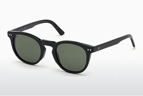Solglasögon Web Eyewear WE0251 01N