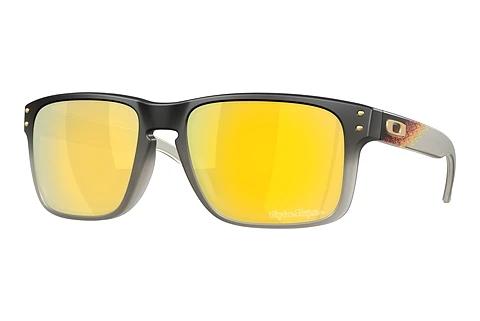 Solglasögon Oakley HOLBROOK (OO9102 9102AH)